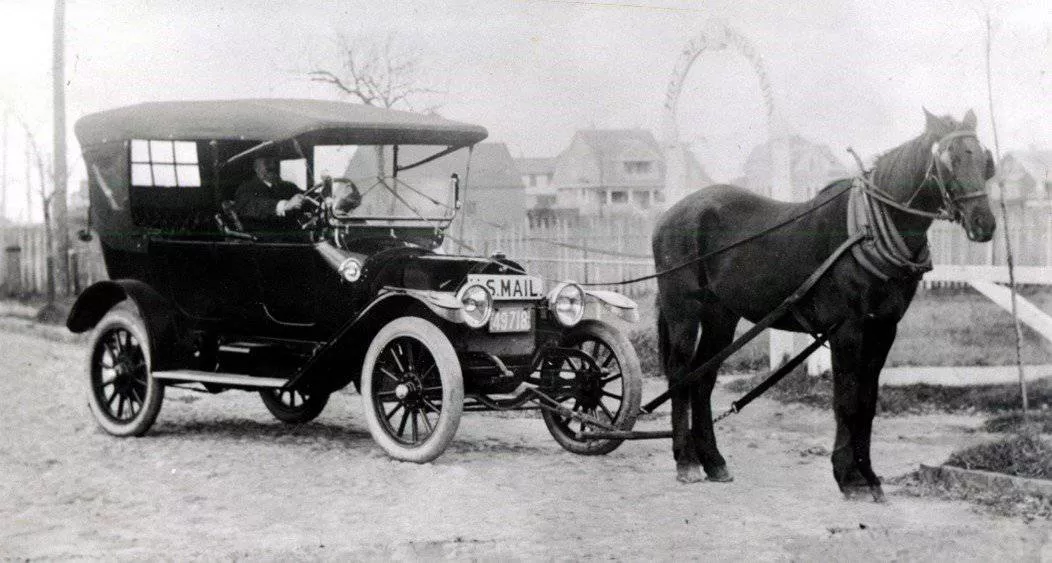 Horse 3