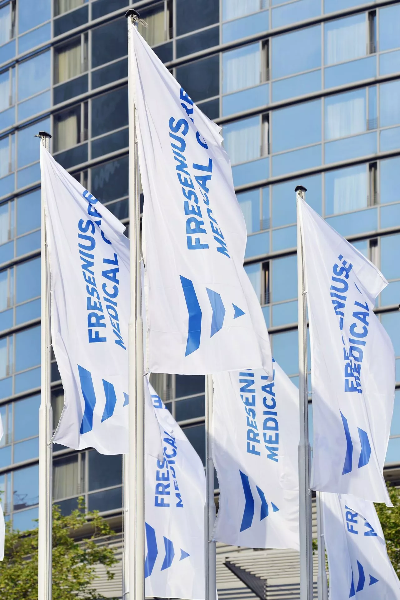 FME flags 1