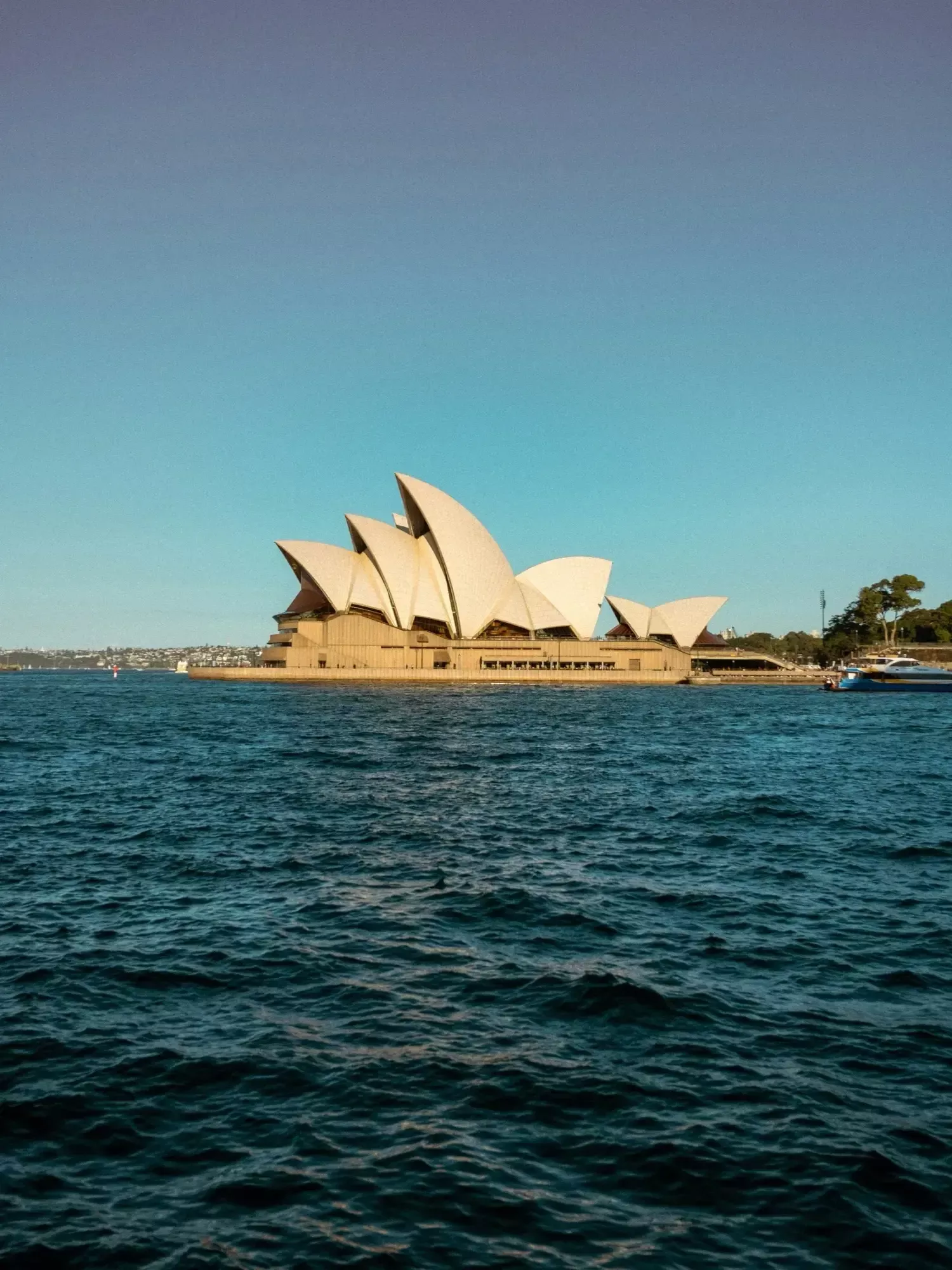 Bluecrux Sydney Offices Asia Pacific