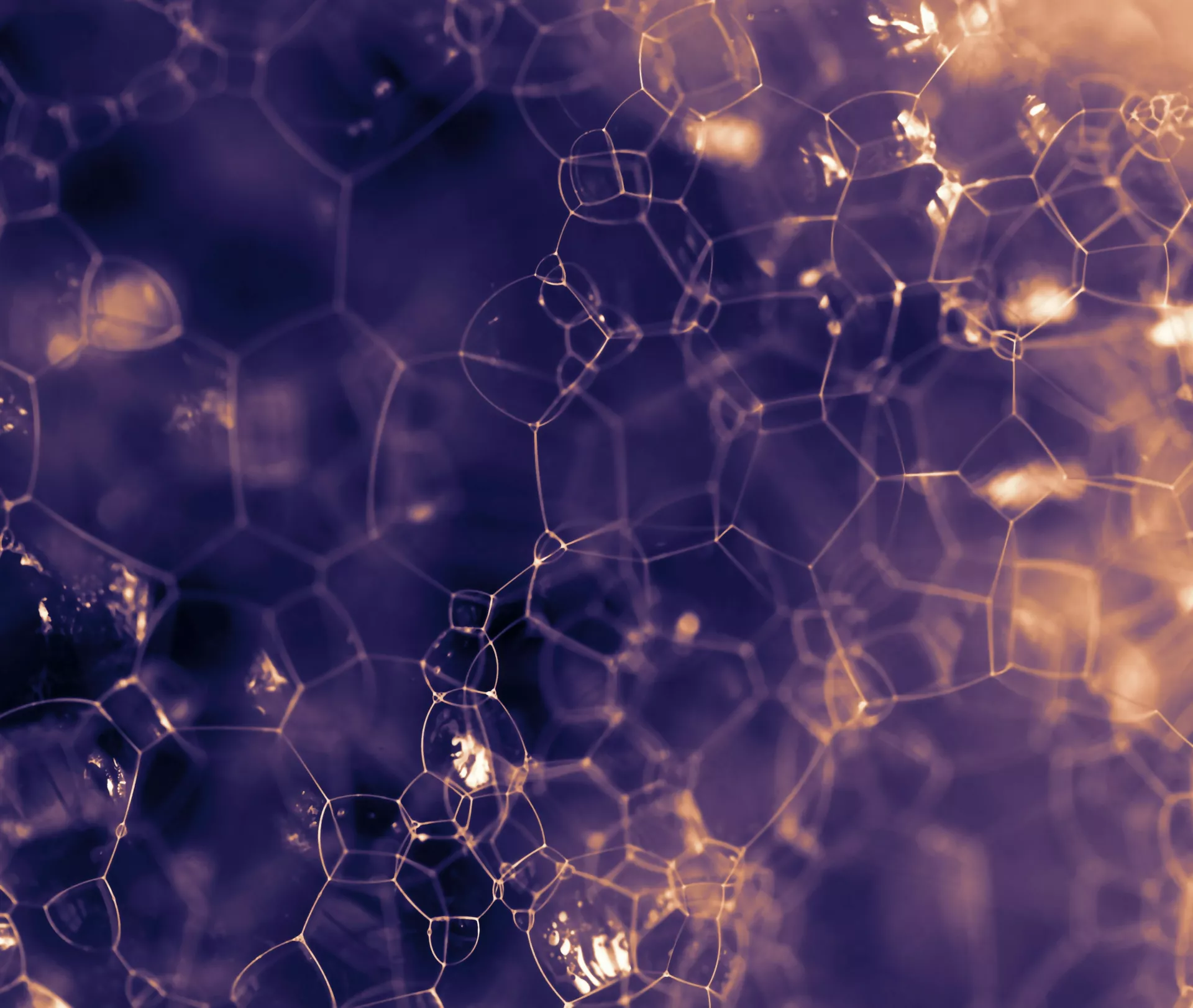 Molecule bubbles