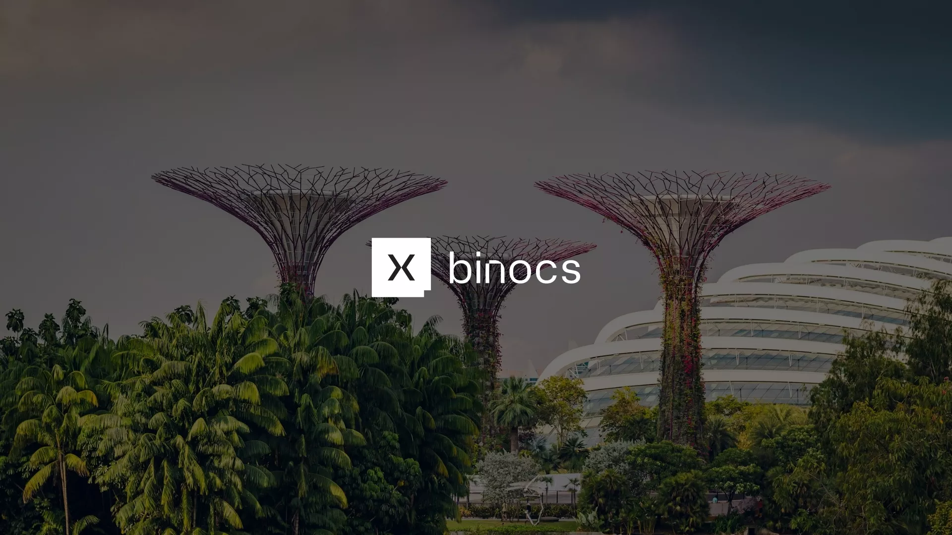 Binocs Goes to Singapore