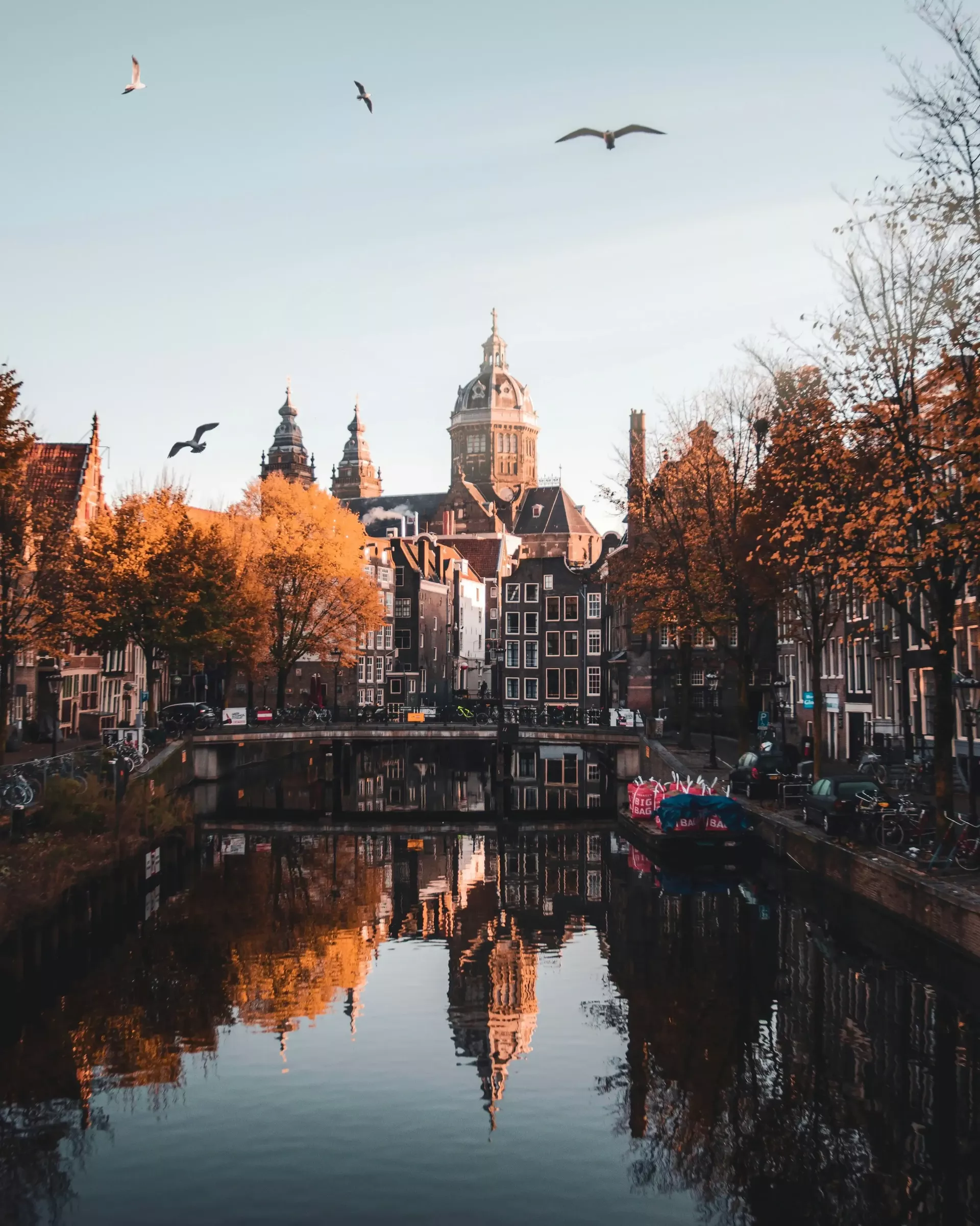 Global offices netherlands