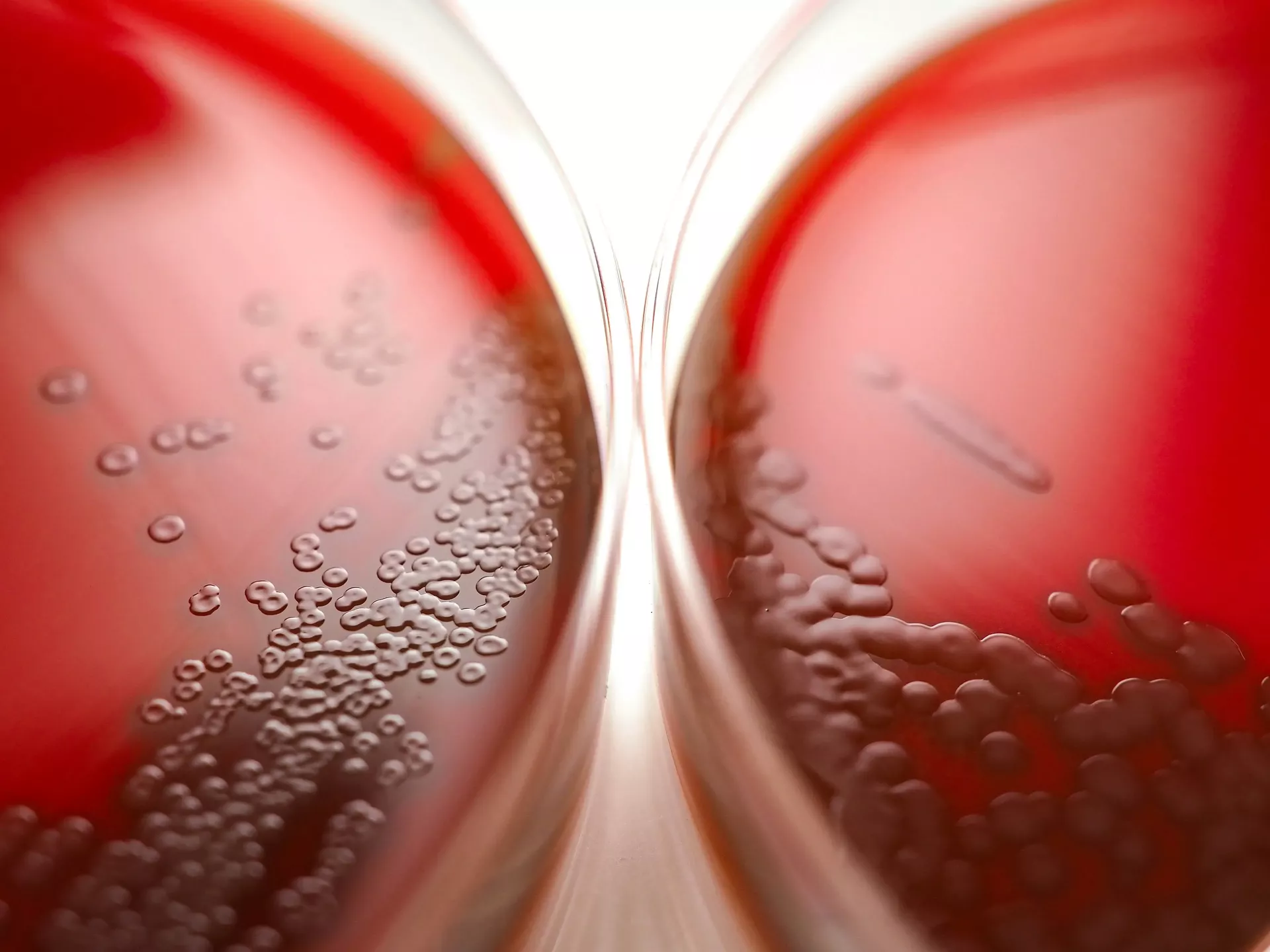 Specialty chemicals