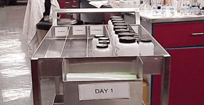 Afbeelding6