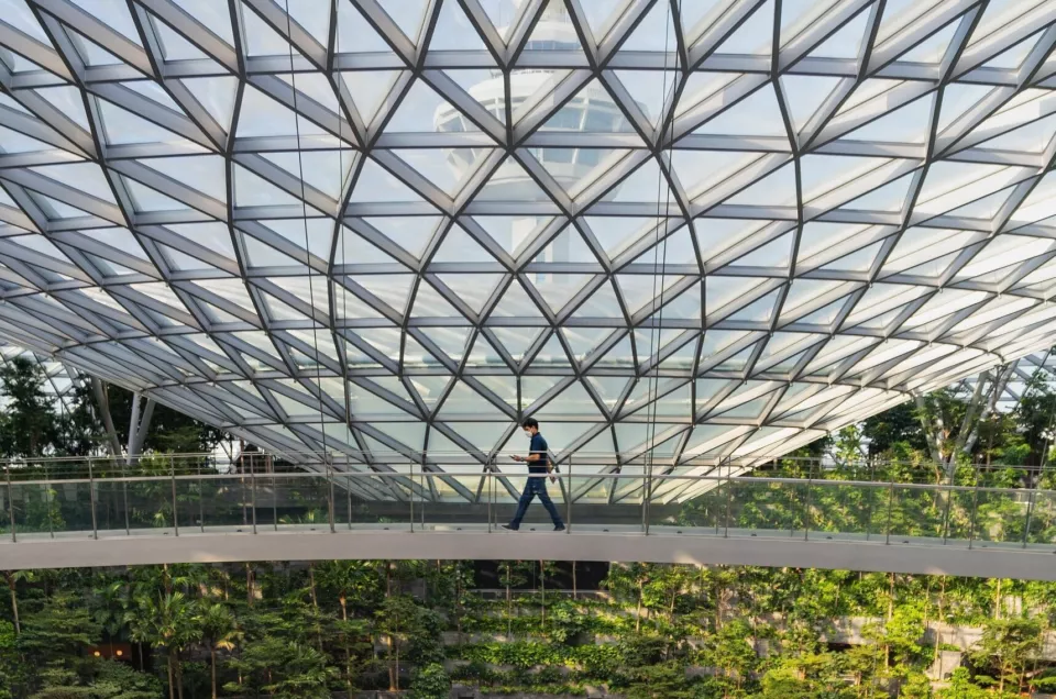 Bluecrux Enters Asia Pacific Market with New Strategic Presence in Singapore and Australia