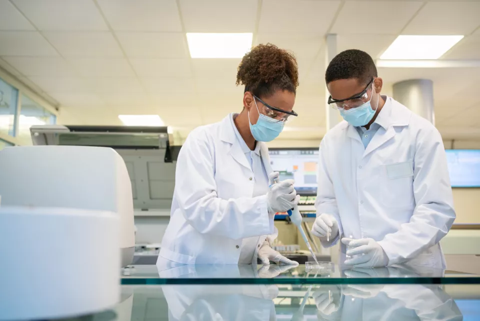 Two scientist conducting an experiment in laboratory. Male and female doctors wearing face masks and lab coats adding solution in petri dish using pipette.